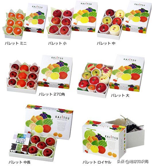 日本西瓜200人民币一个？这背后不为人知的是……|地球知识局