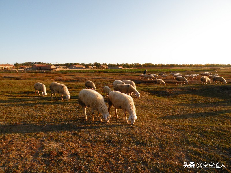 深度解析华尔街股票,深度分析美元股票