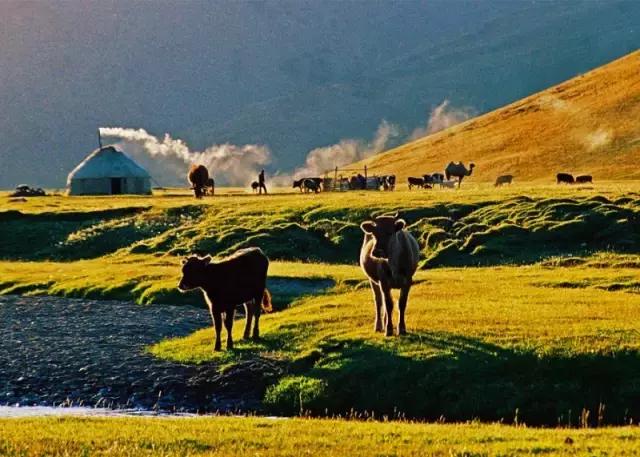 中国国家地理十大最美秋色,寻找中国最美自驾游