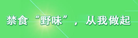 “天津安商、护商，我们倍感温暖”──福建三安集团感谢信点赞我市营商环境