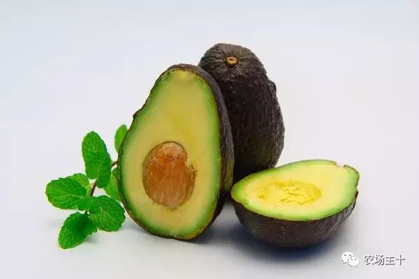 牛油果是如何被炒作起来的,牛油果怎么那么难吃还那么贵