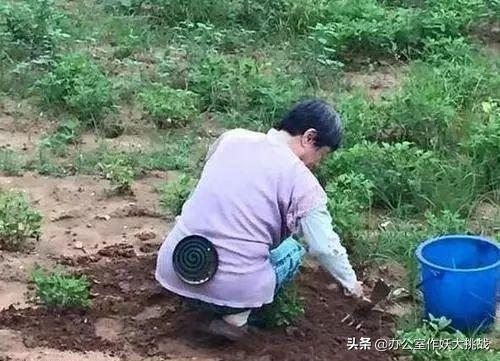 缃戣喘杩斿埄鎼炵瑧,鎼炵瑧璐墿杩斿埄