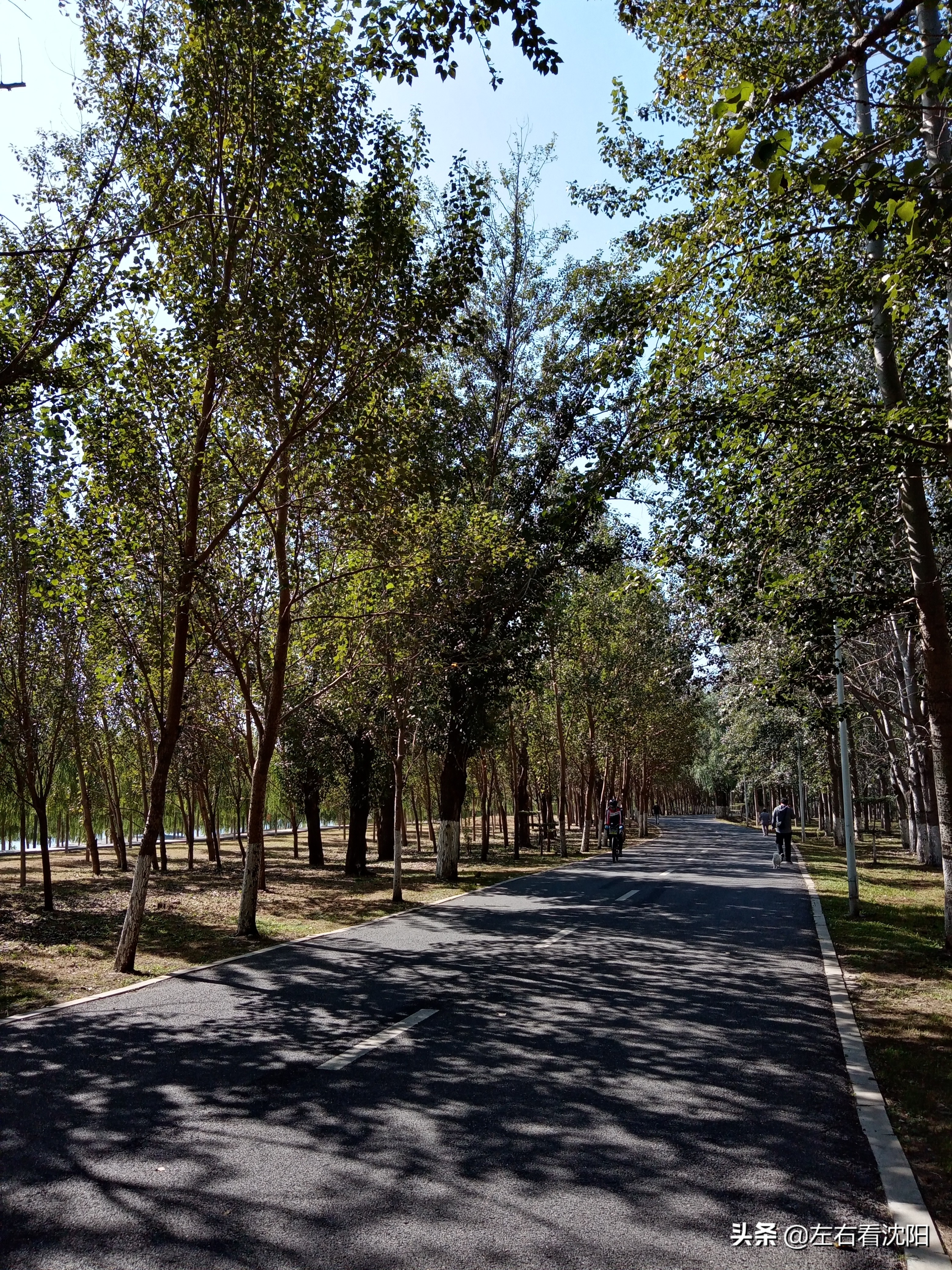 沈阳浑河游玩攻略冬季,盛京浑河晚渡视频