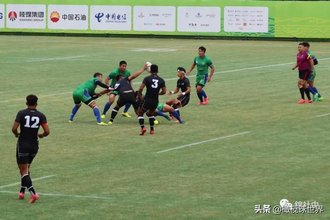 我和我的体育故事,我和运动会的故事