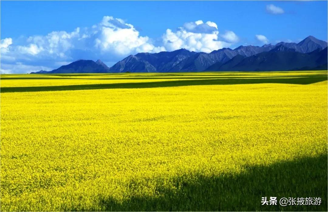 山丹军马场旅游去哪个马场,山丹军马场世界第一大军马场