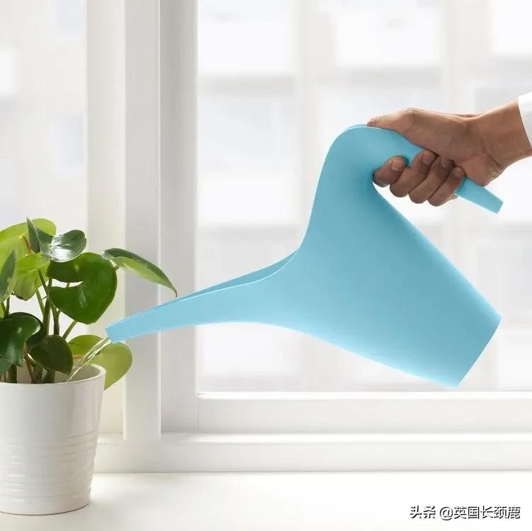 英国家具在哪儿买?当地最全家居店盘点:总有一款适合你