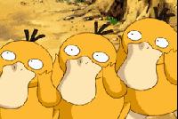 世界最罕见的十个杂交动物,世界罕见动物长得像蜘蛛但有尾巴