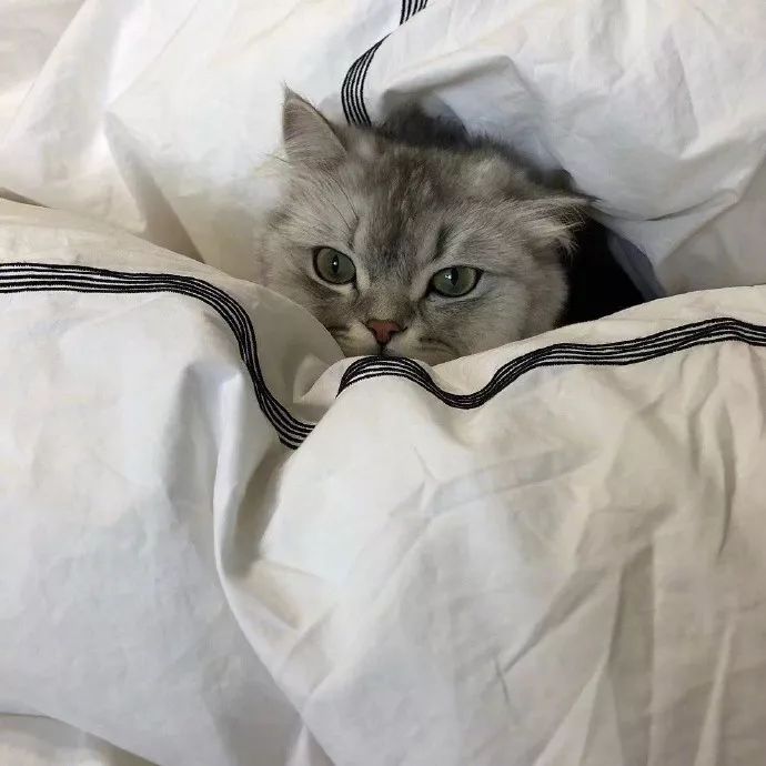 游戏里被绿了怎么办,在游戏中被绿