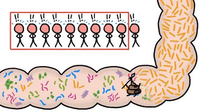 瘦贵人奥利司他胶囊怎么样,臻瘦奥利司他胶囊真的能瘦吗