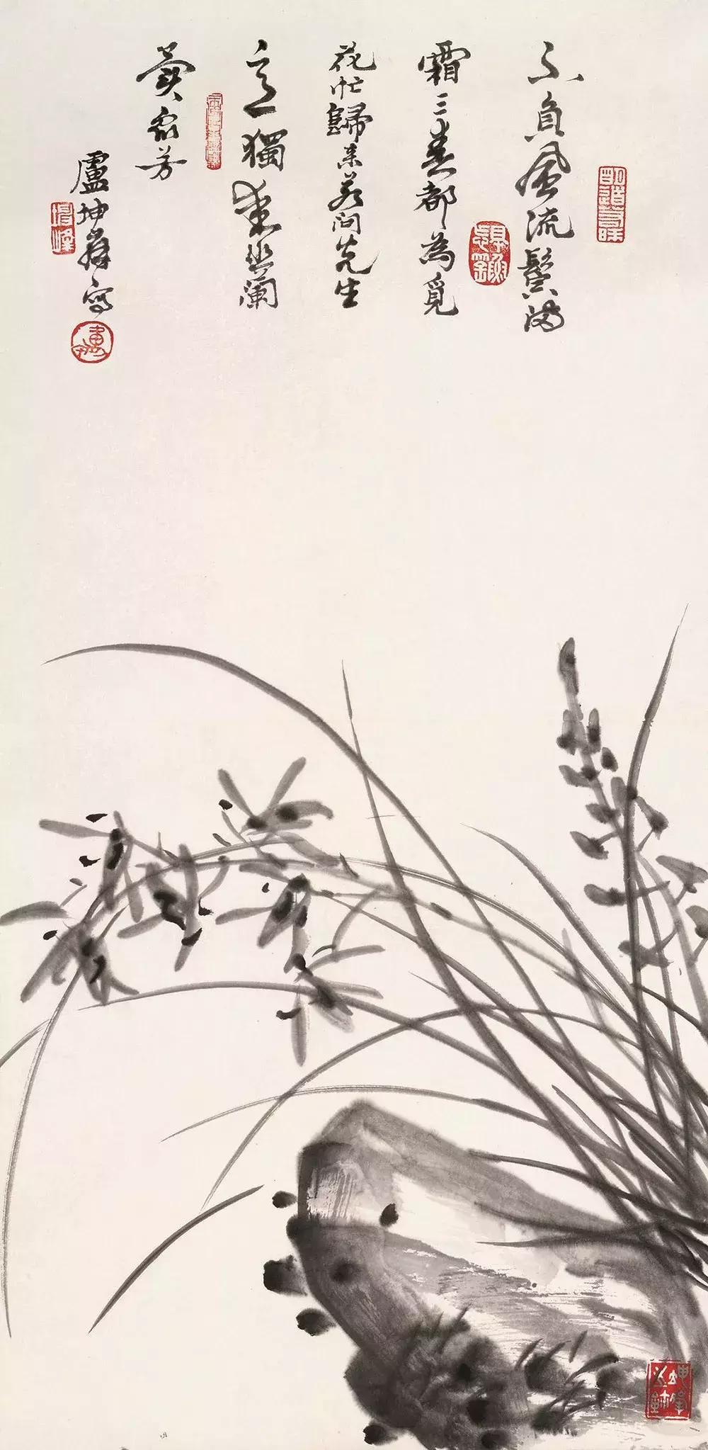 如何画兰花最好看的,君子兰花如何画