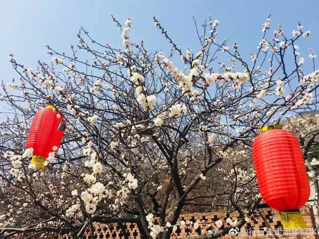 威海60岁免费景点,威海十大网红免费景点