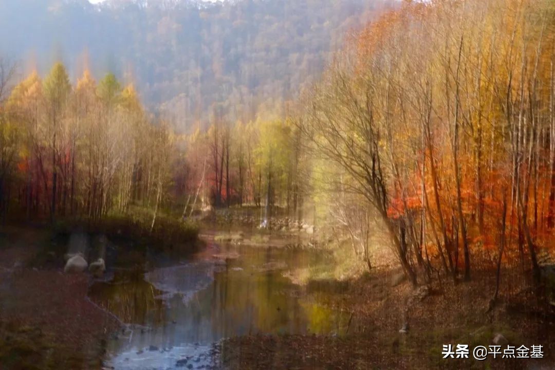 中药！或将迎来走向世界的重大契机