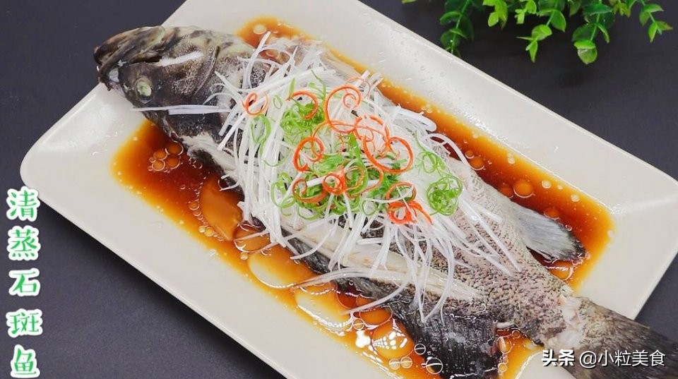 家宴上简单美味的清蒸石斑鱼,青石斑鱼除了清蒸还能怎么做