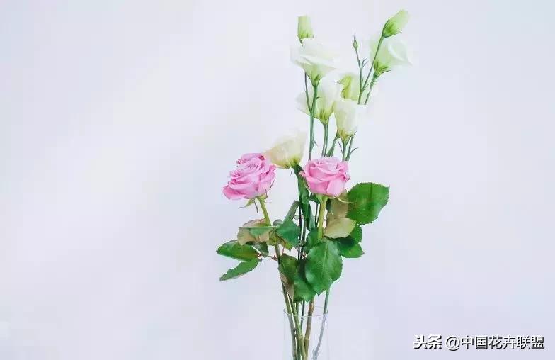 100种鲜花的花语樱花,100种不同花的花语