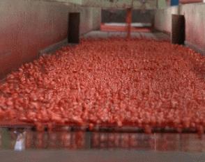 肃宁融媒,肃宁融媒怎么样