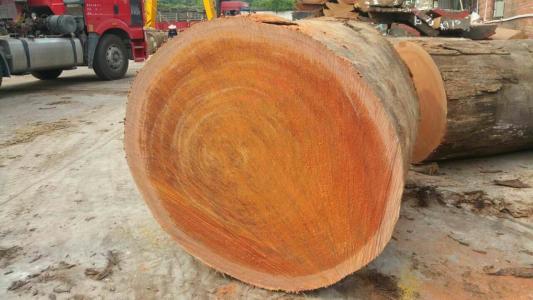 常见的有硬度有韧性的木头做木刀,有哪些木头适合做砧板