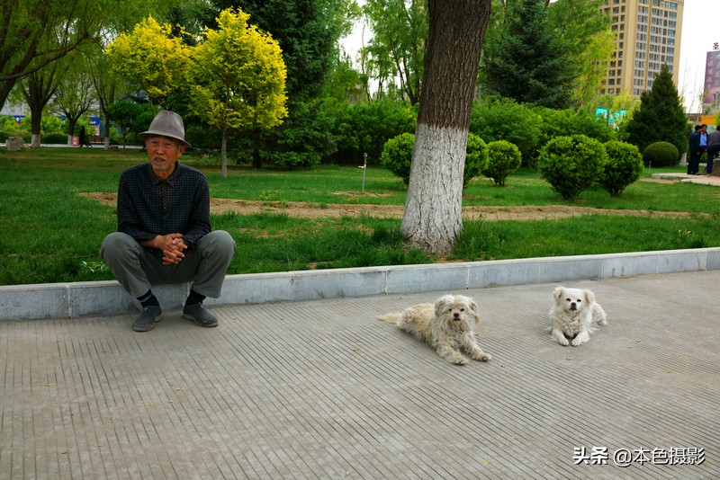鍩庡競琛楄鎽勫奖,琛楄鎽勫奖娆h祻