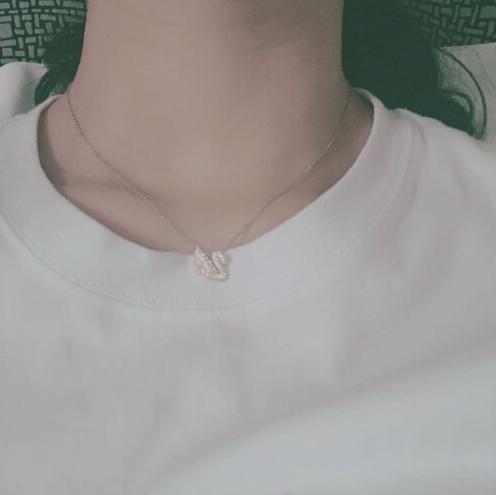 施华洛世奇小天鹅项链容易变色吗,施华洛世奇小天鹅项链推荐