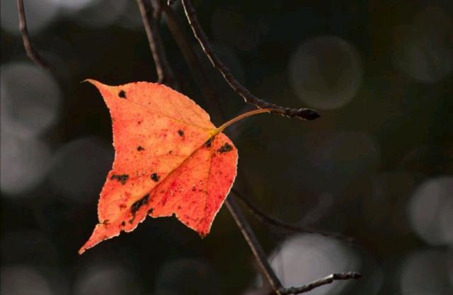 看透人心心酸的说说道尽人性冷暖,看透人心醒悟的句子说说