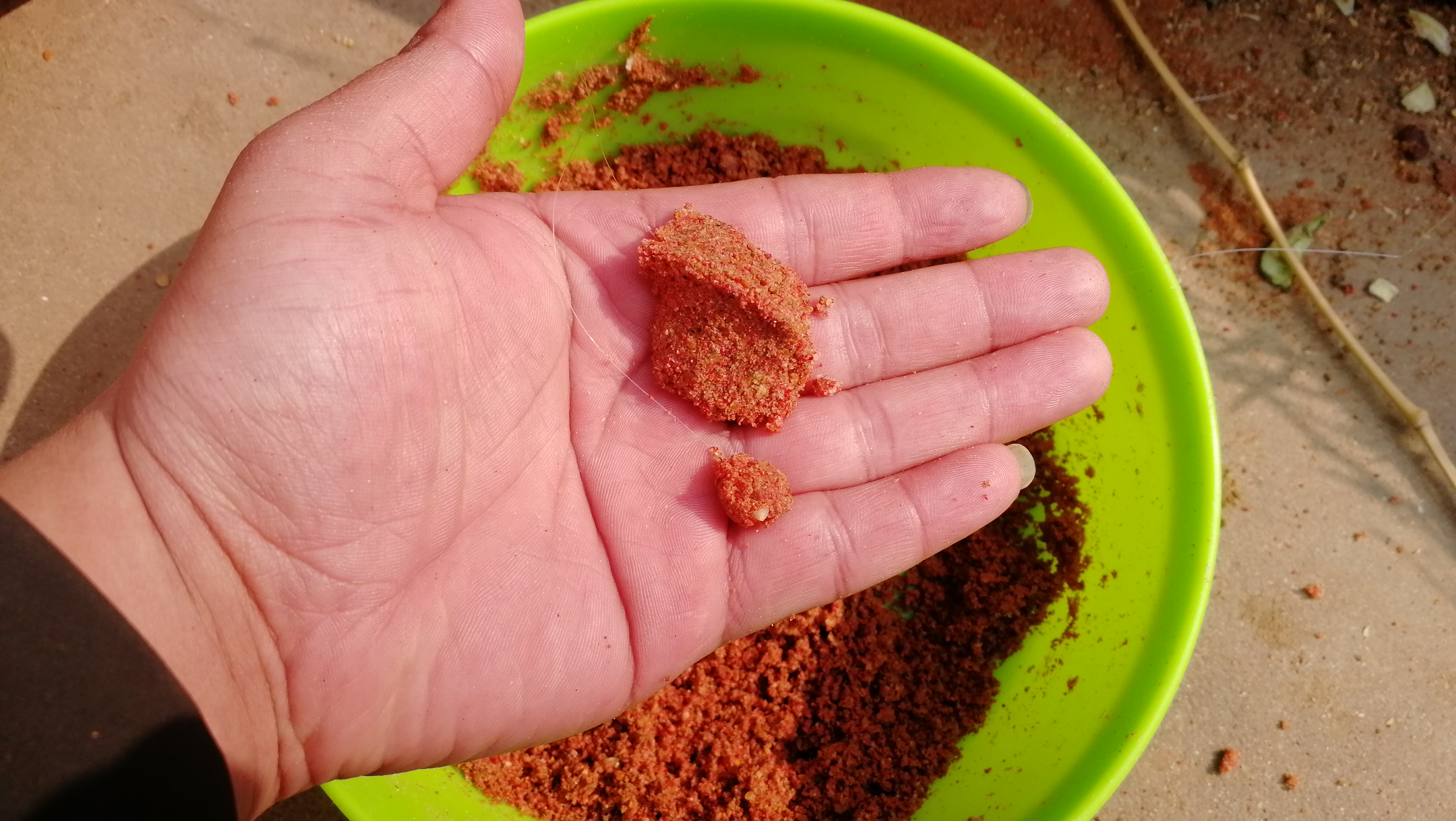 这种鱼哪都有，而且一来就是一大群，吃口又快又猛，别说你没钓过