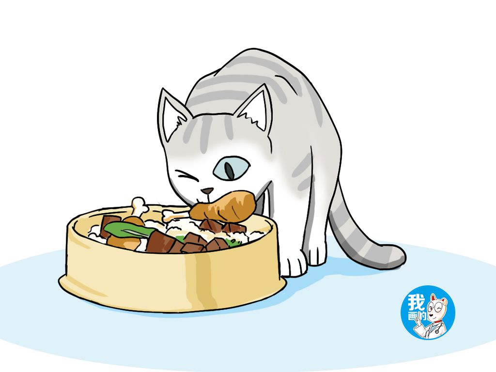 家中不明气体,家里出现不明气体