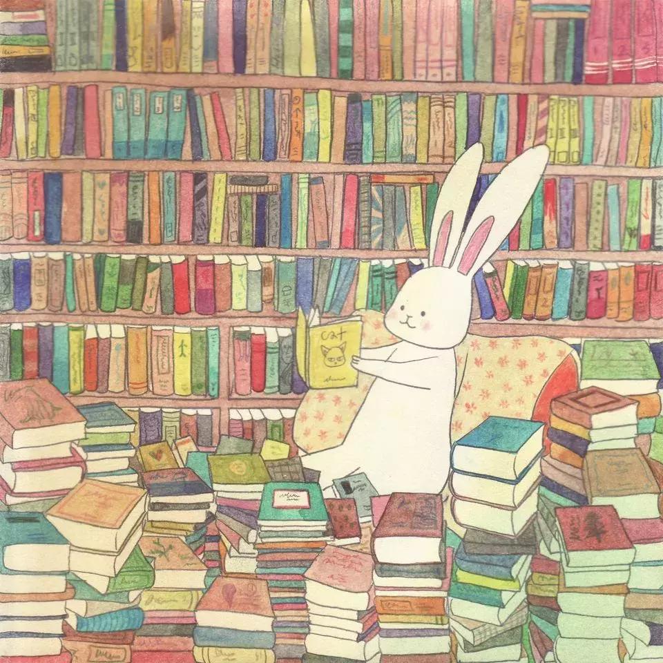 全网最火的兔子玩偶,2020年最火的兔子玩偶