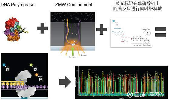 全场硬菜！分子诊断技术全解析