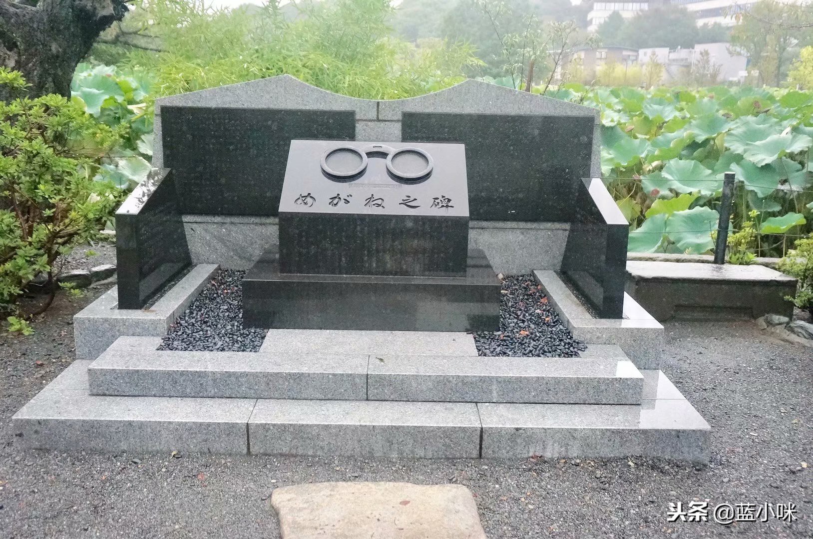 东京富士山镰仓一日游,东京旅游攻略镰仓一日游