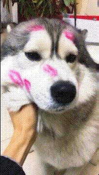 看了整整七分钟，他们最终还是上去了