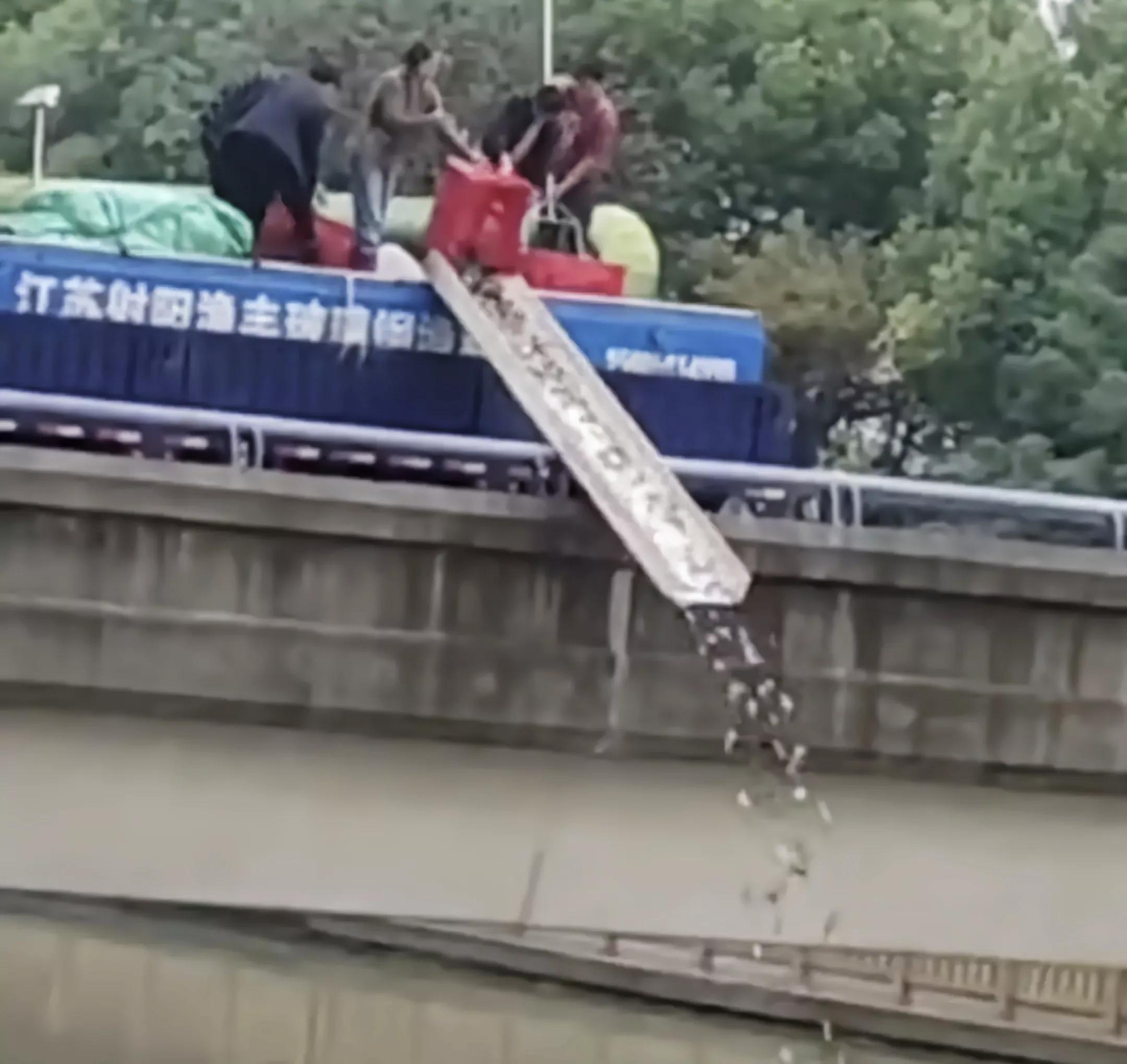 上海钓鲫鱼,一天钓几十斤鲤鱼咋办