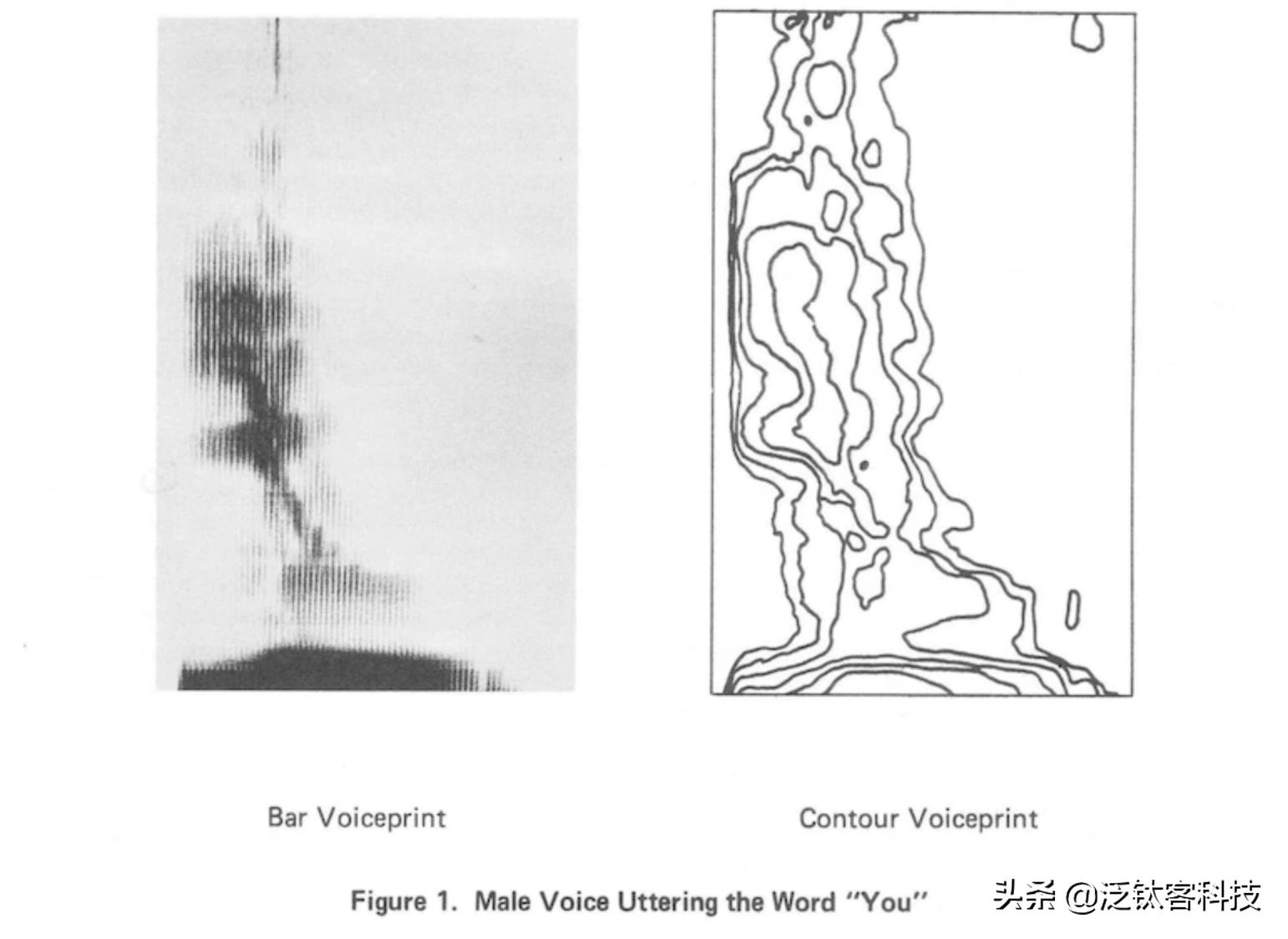 FInSight指间课堂：语音认证在金融中的应用