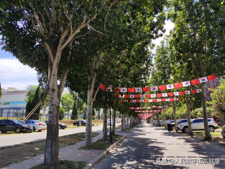 青岛韩国经贸交流会,青岛中韩博览会