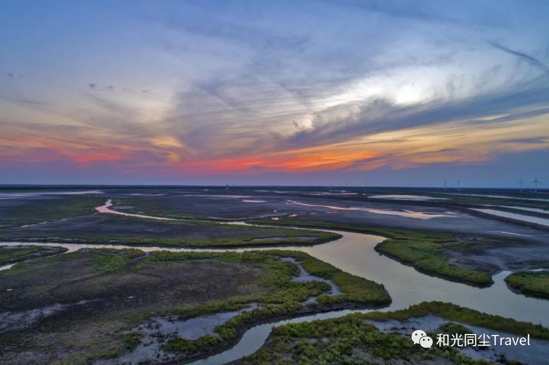 盐城世界第一大湿地,盐城黄海湿地世界遗产