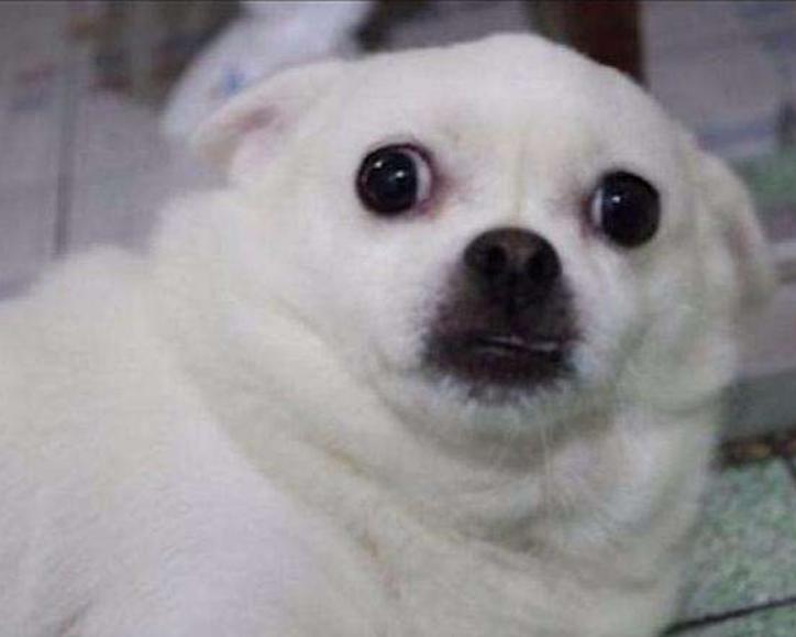 吉他作假真实视频,电吉他造假视频