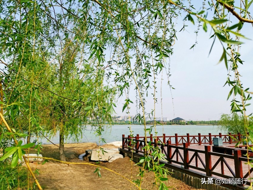 开封西湖之滨,开封西湖即景