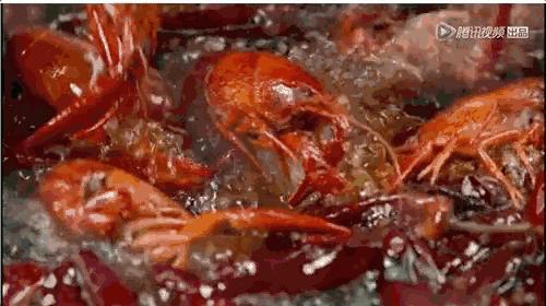 《*瓶金**梅》：别让“重口味”毁掉了你