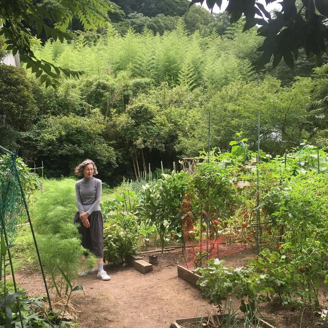 75岁日本家庭主妇日常,日本中年家庭主妇一天的真实生活