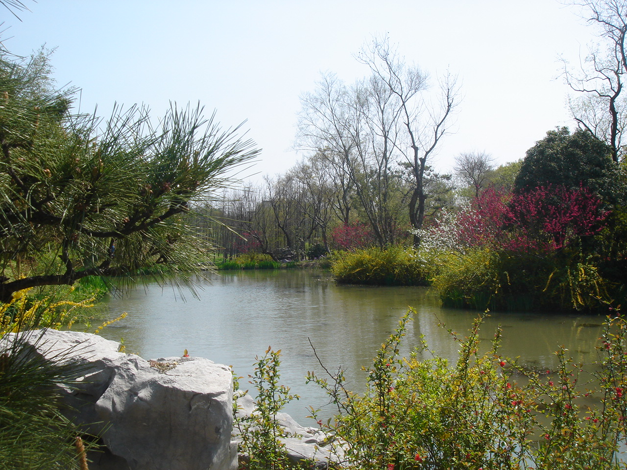 三月的瘦西湖到底有多美,瘦西湖景色到底有多美
