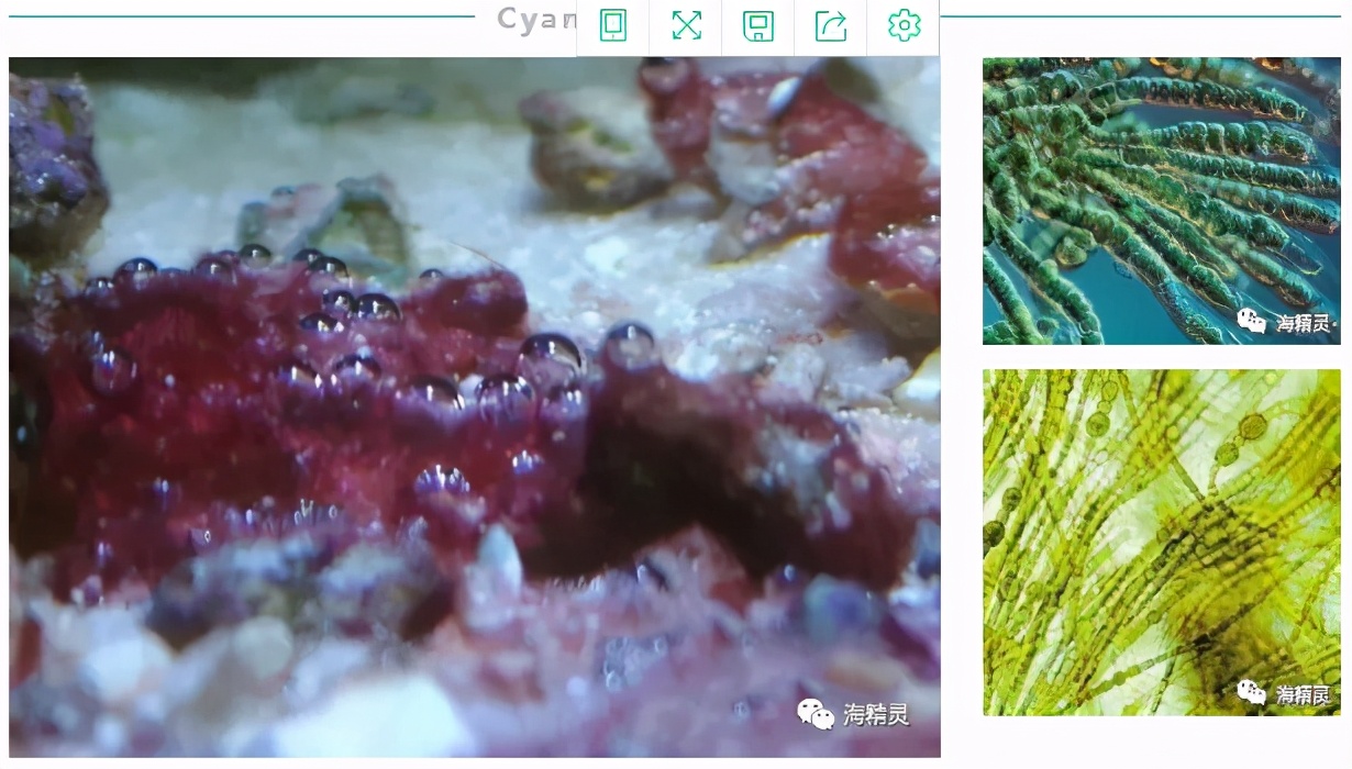怎么才能从众人中脱颖而出,如何让自己从人群中脱颖而出