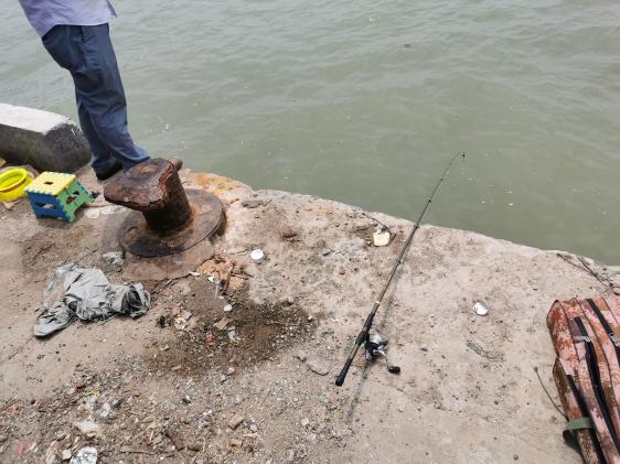 廉江龙营钓鱼视频,湛江市遂溪草潭码头钓鱼视频