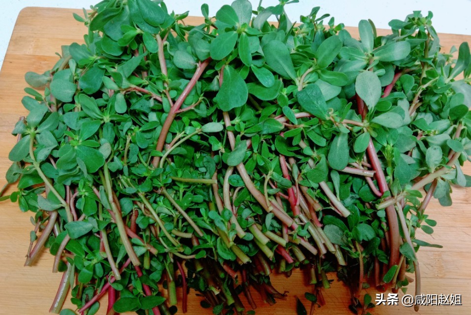 马齿苋凉拌的最简单做法,凉拌马齿苋的最正宗做法