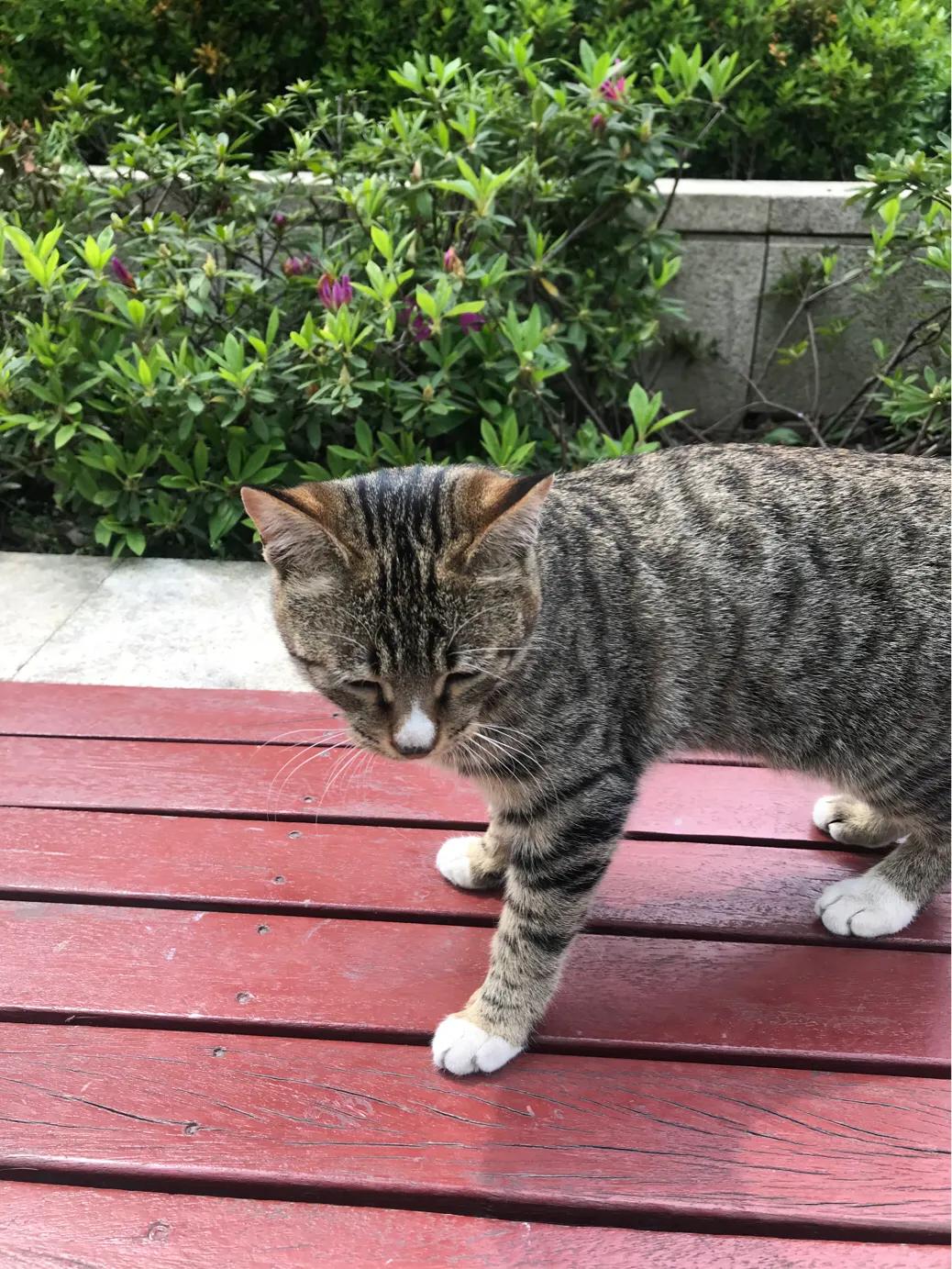 合肥祥源城地址,合肥祥源城花店