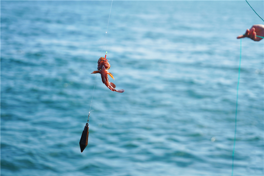 嵊泗东海渔村看日出攻略,嵊泗列岛纯海慢生活三日游