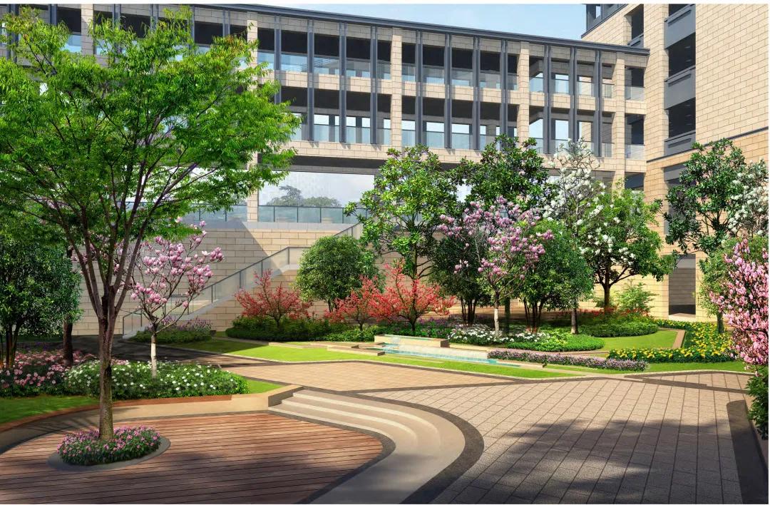 南京一中江北平面图,南京一中泰山分校平面图