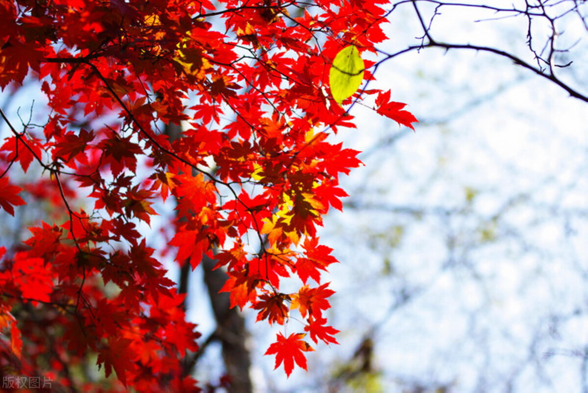 陕西必爬的十大山,陕西最可怕的地方新闻