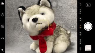 手机摄影拍照效果,手机拍照技巧和手机摄影分享