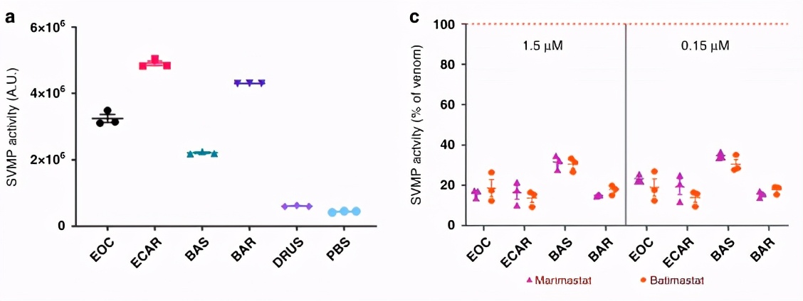 小分子鸡尾酒疗法，有效抵抗多种致命蛇毒