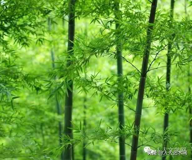 人人图文,人人贷最新事件进展