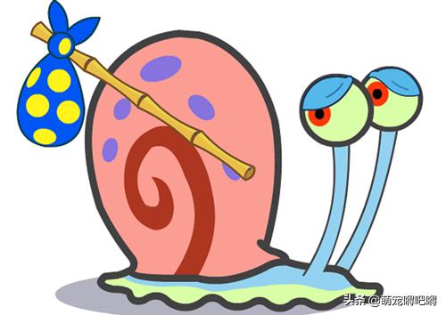 鲜艳的宠物蜗牛,另类宠物都有什么名字