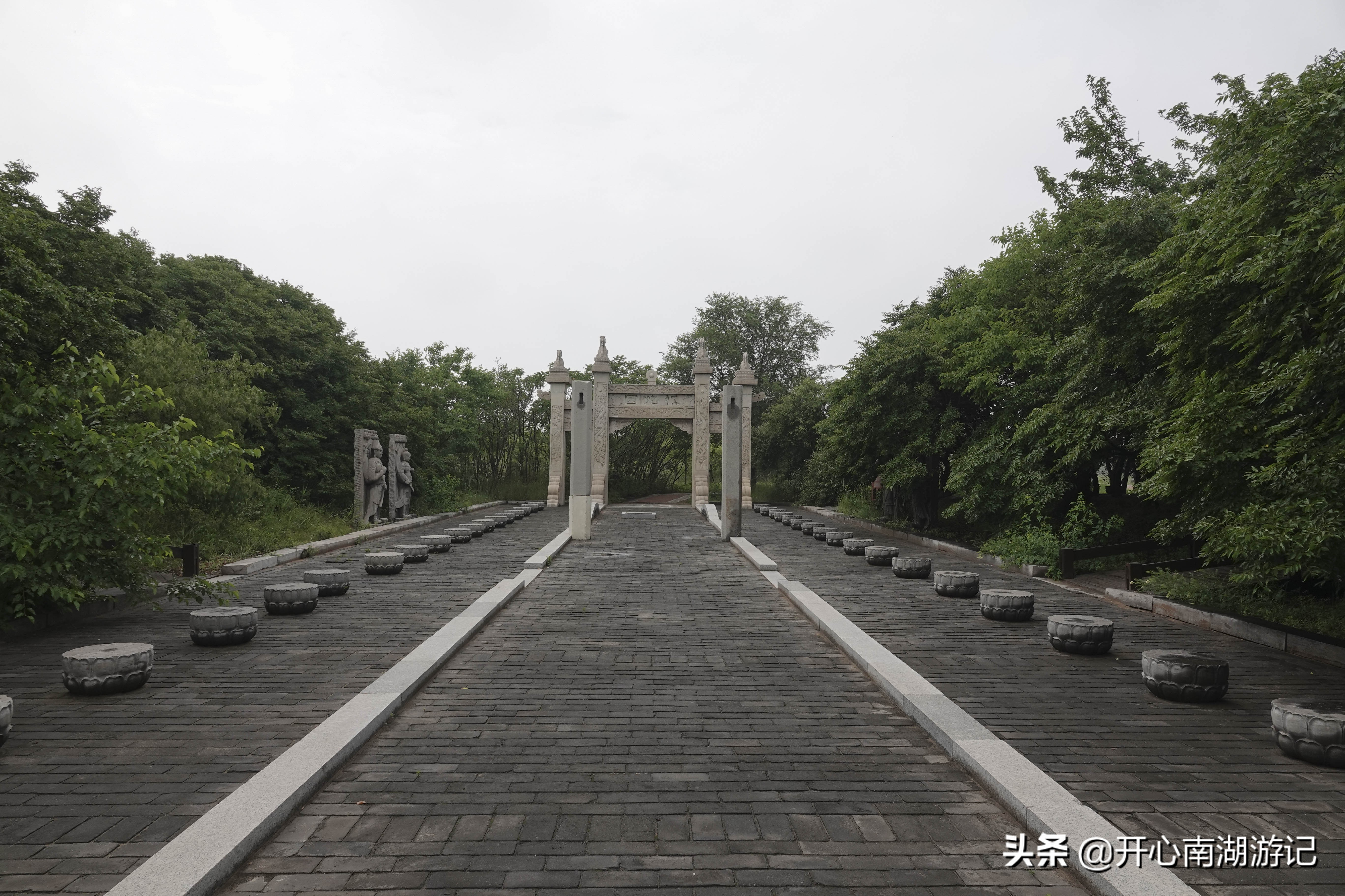 一花一世界，一叶一菩提，与浪漫的月坨岛比邻，菩提岛你去过吗？